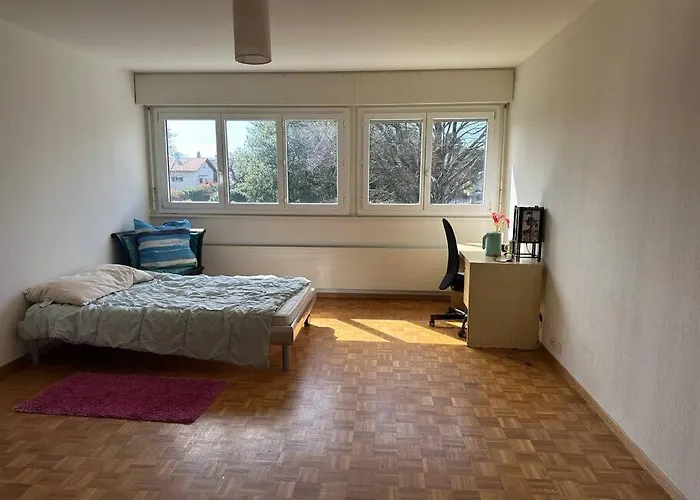 Apartment 名门小屋